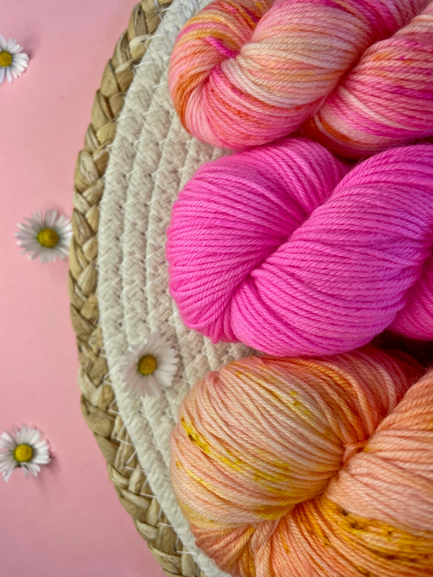 Pack multi Pamplemousse & friends