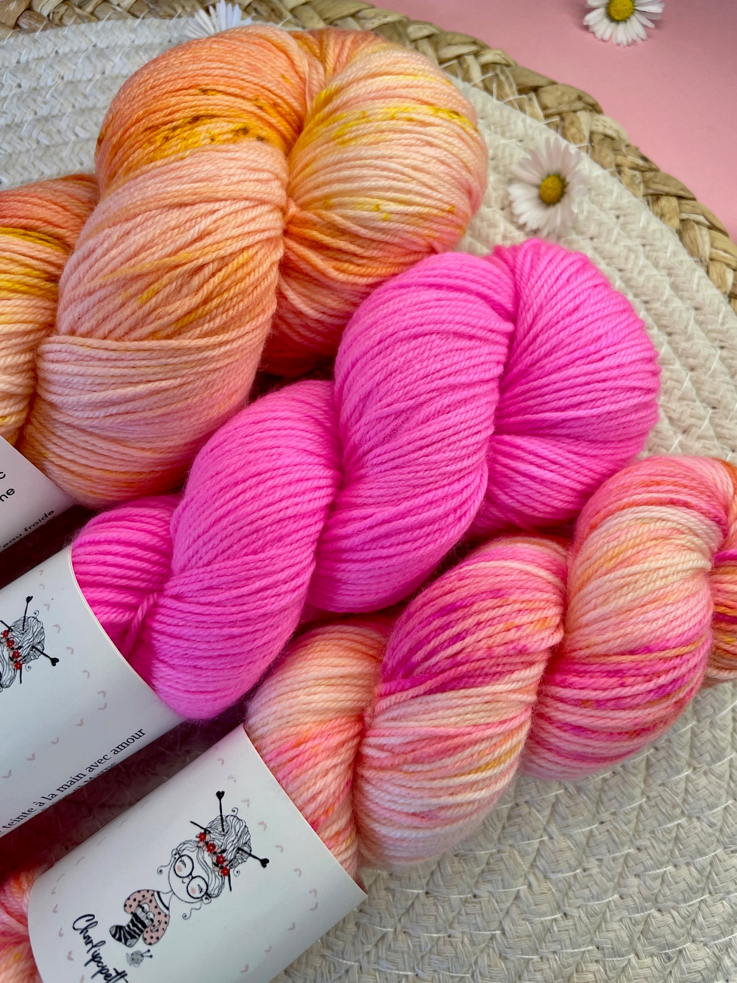 Pack multi Pamplemousse & friends