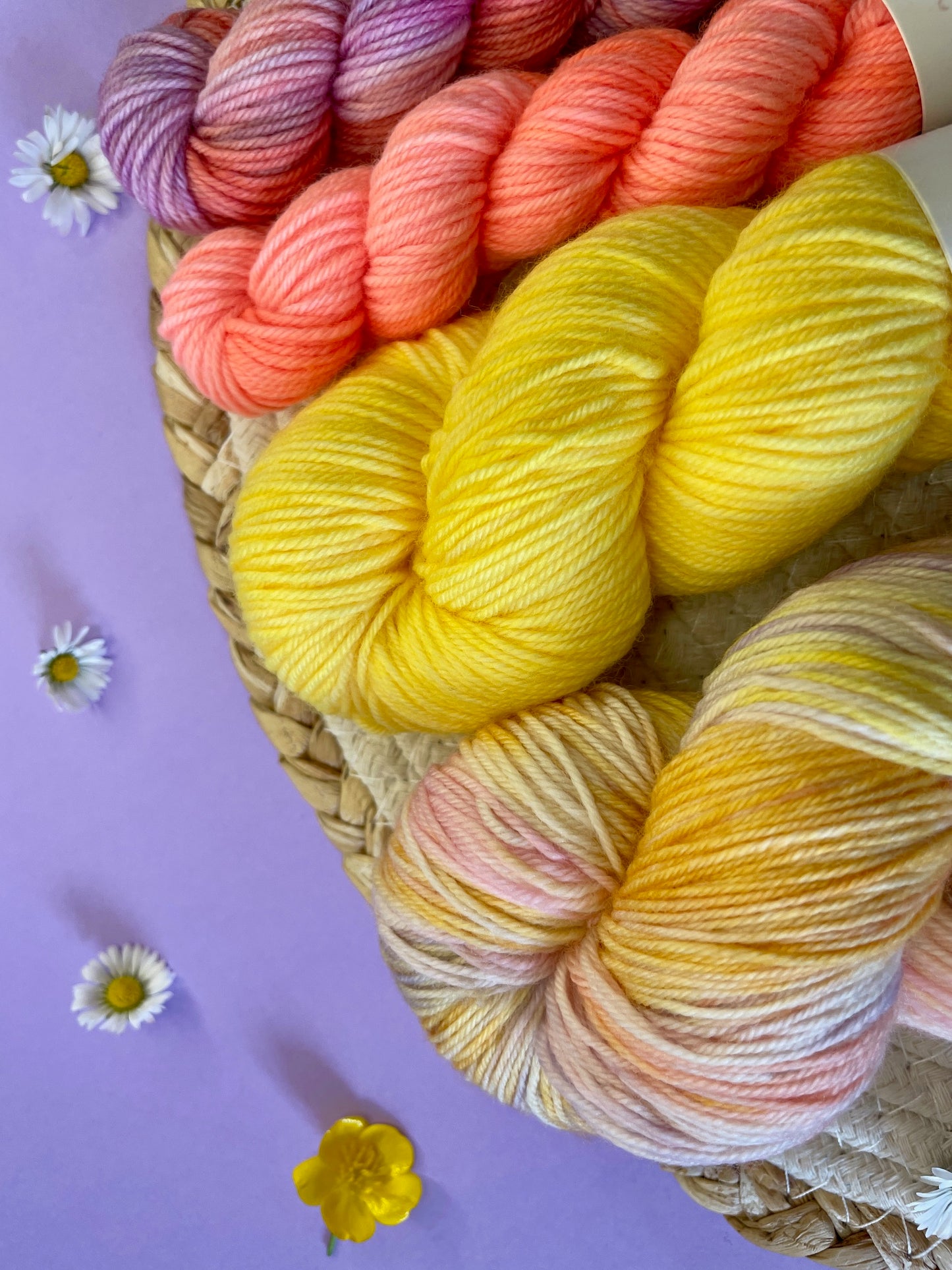 Pack multi Perly Candy & friends