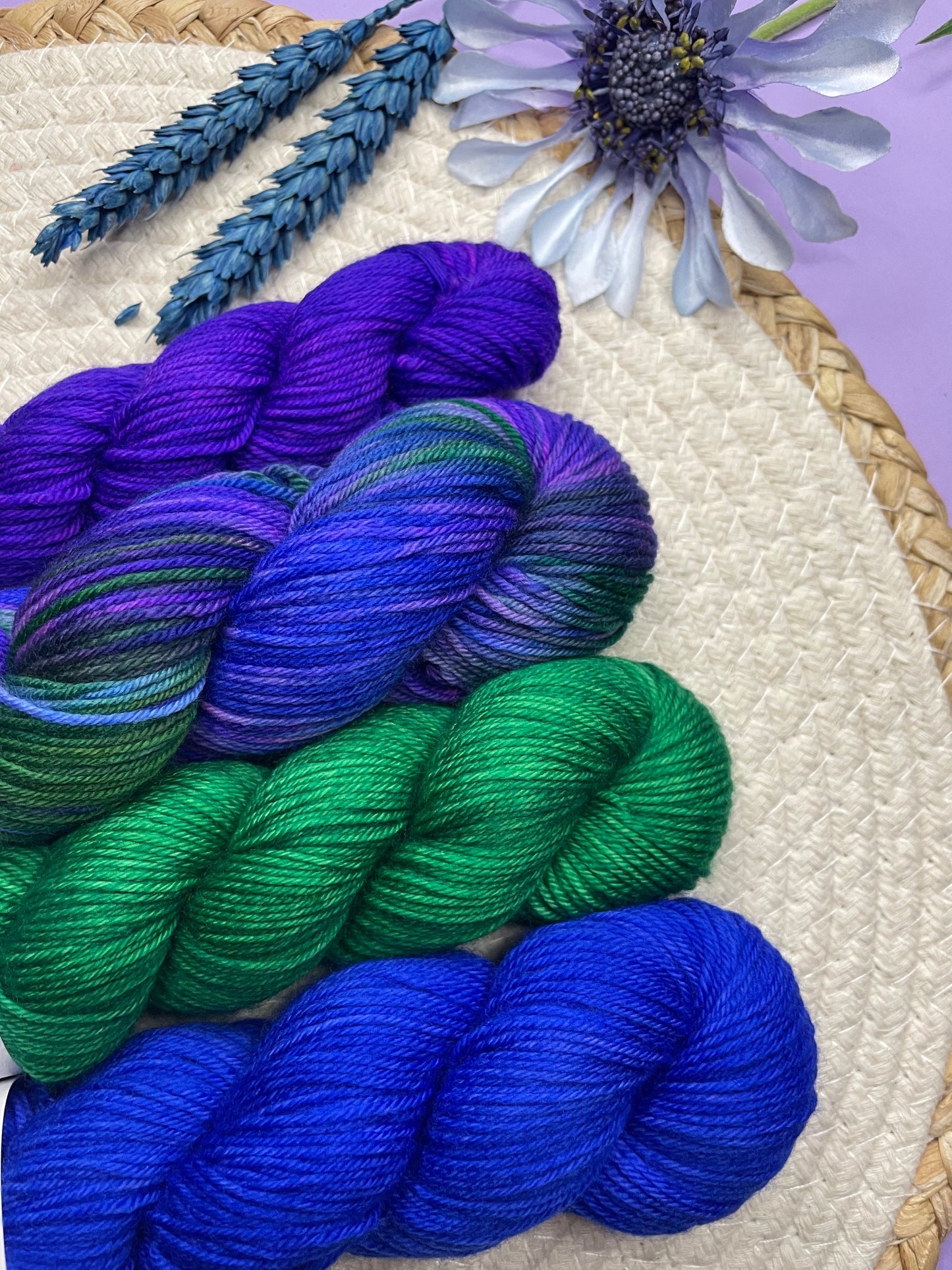 Pack multi Paon & friends