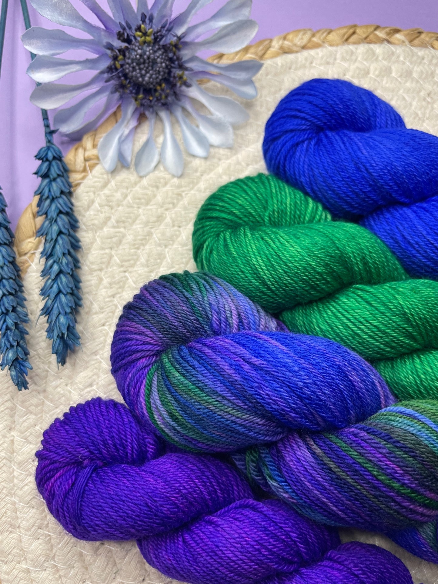 Pack multi Paon & friends