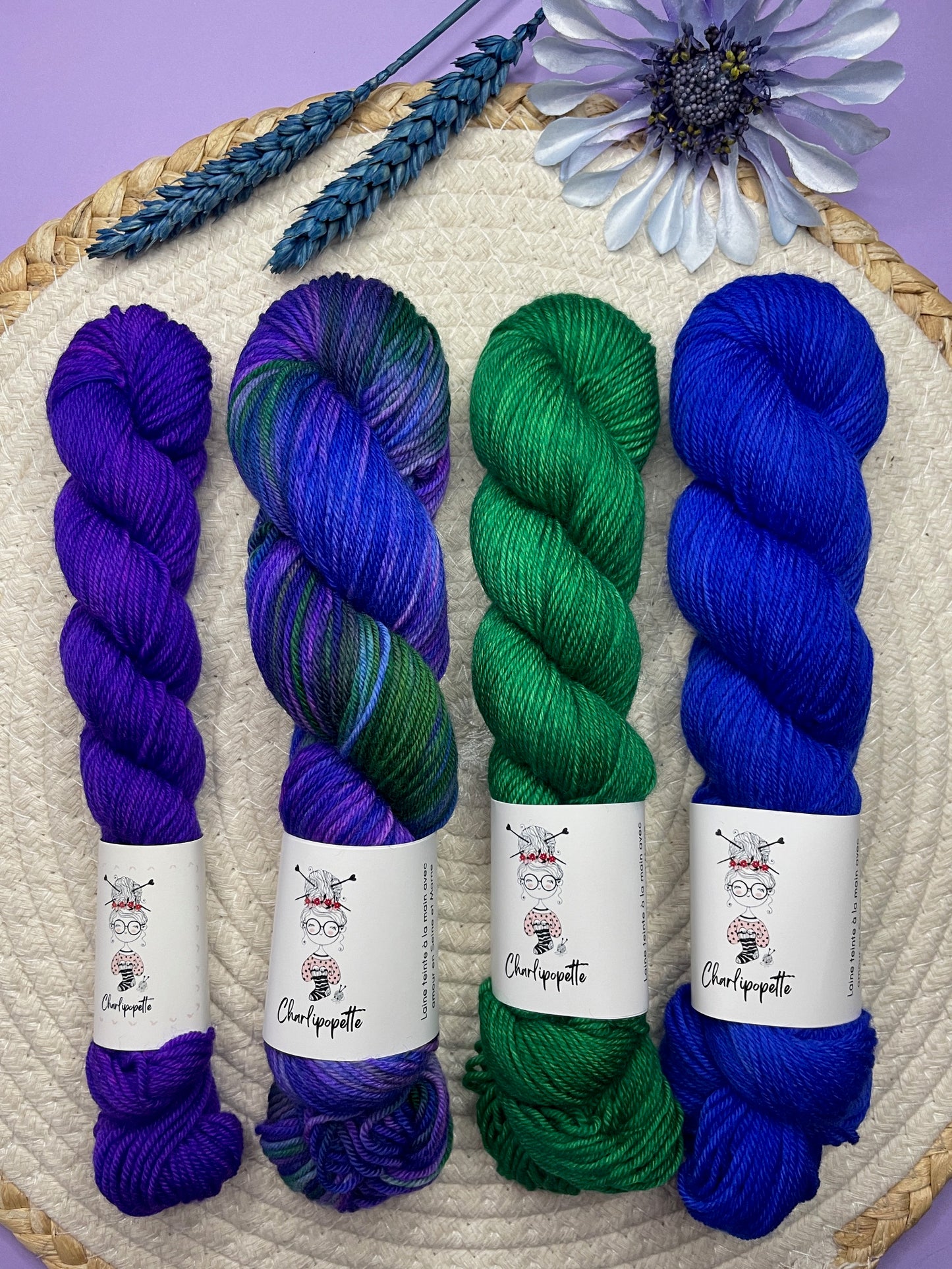 Pack multi Paon & friends