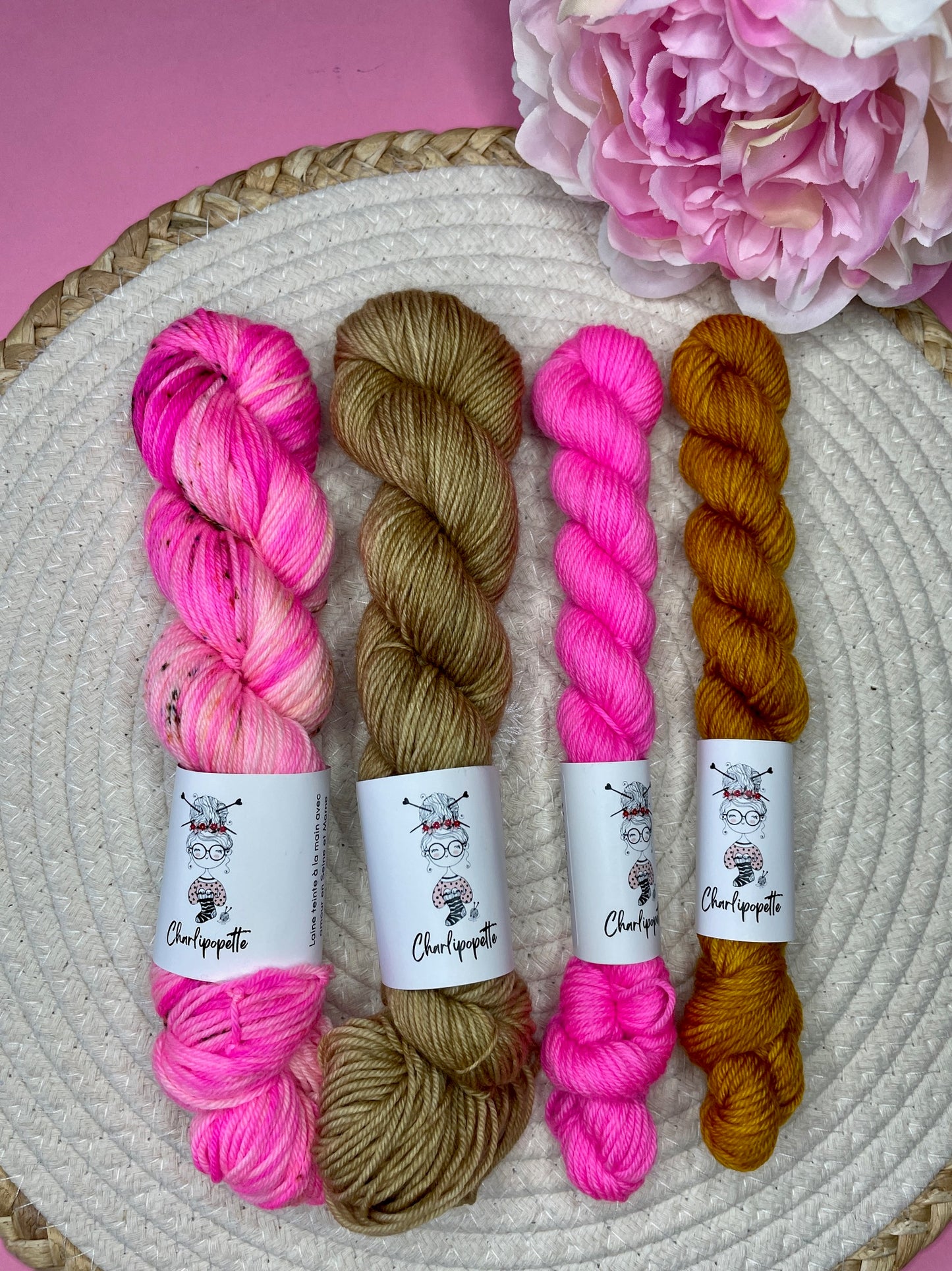 Pack multi Salvia & friends