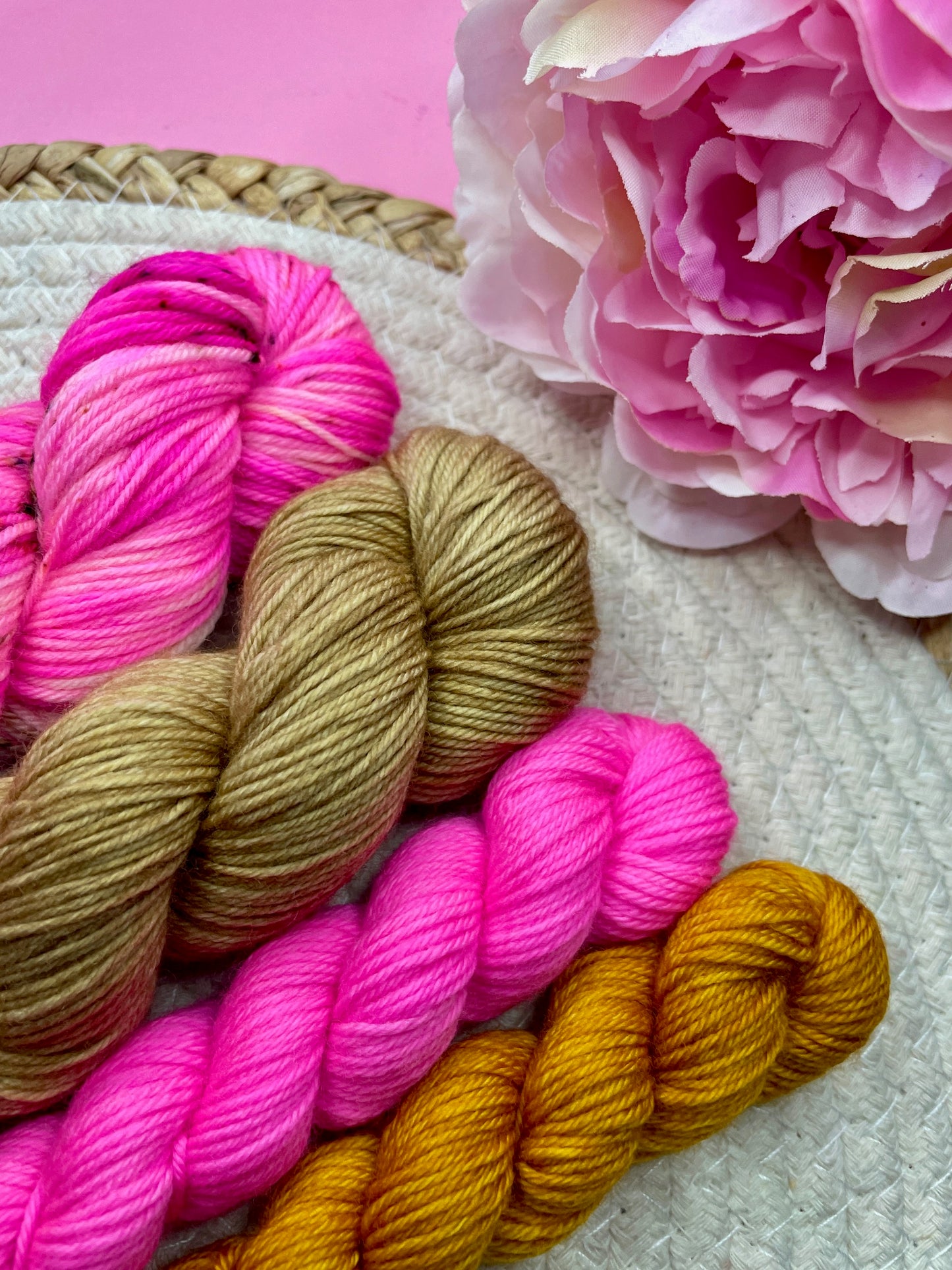 Pack multi Salvia & friends