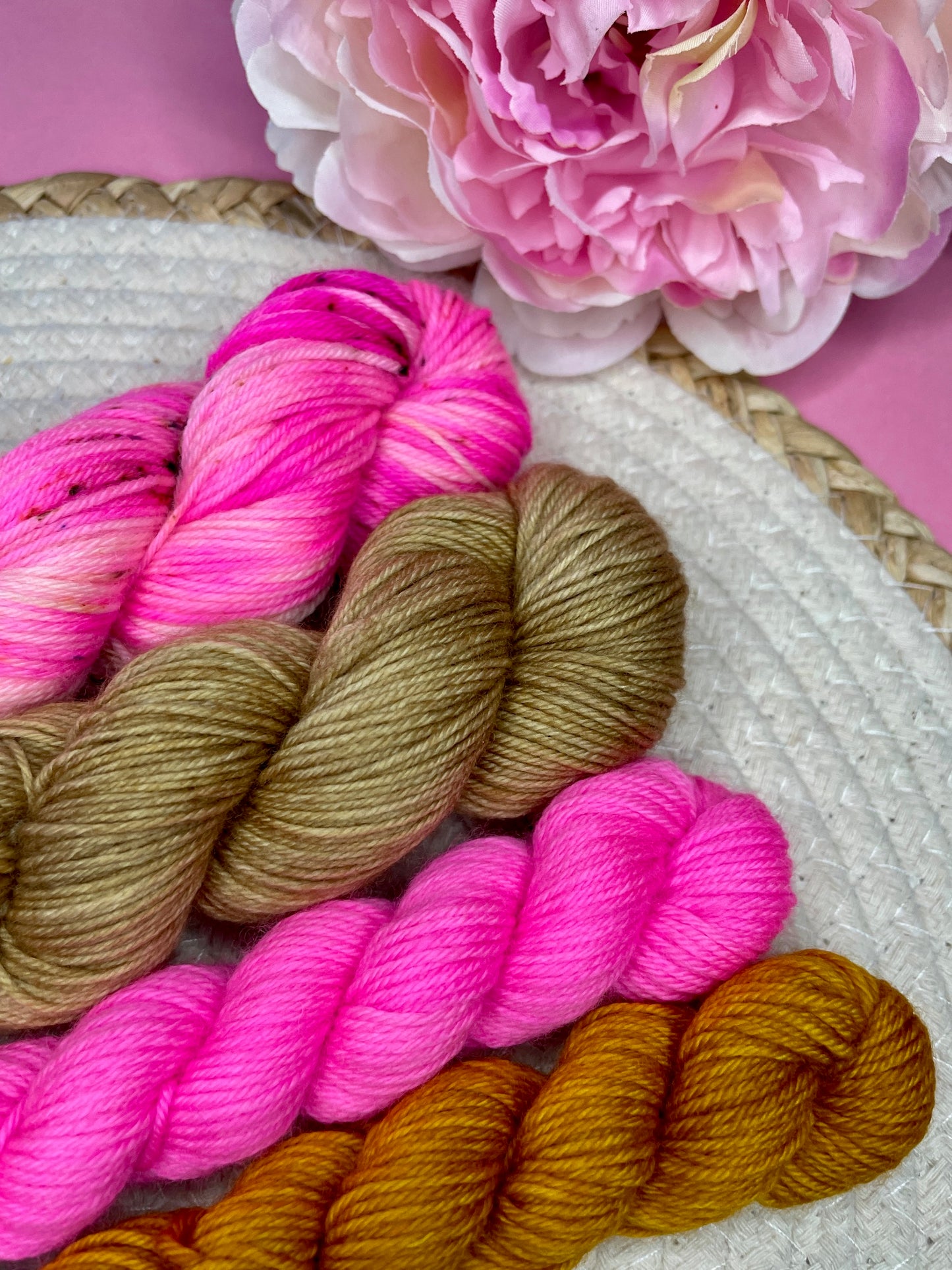 Pack multi Salvia & friends