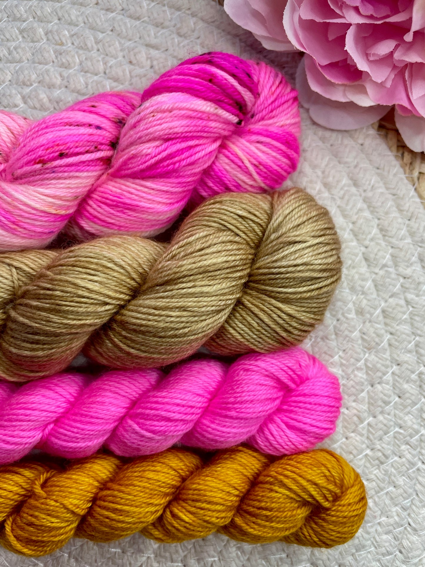 Pack multi Salvia & friends