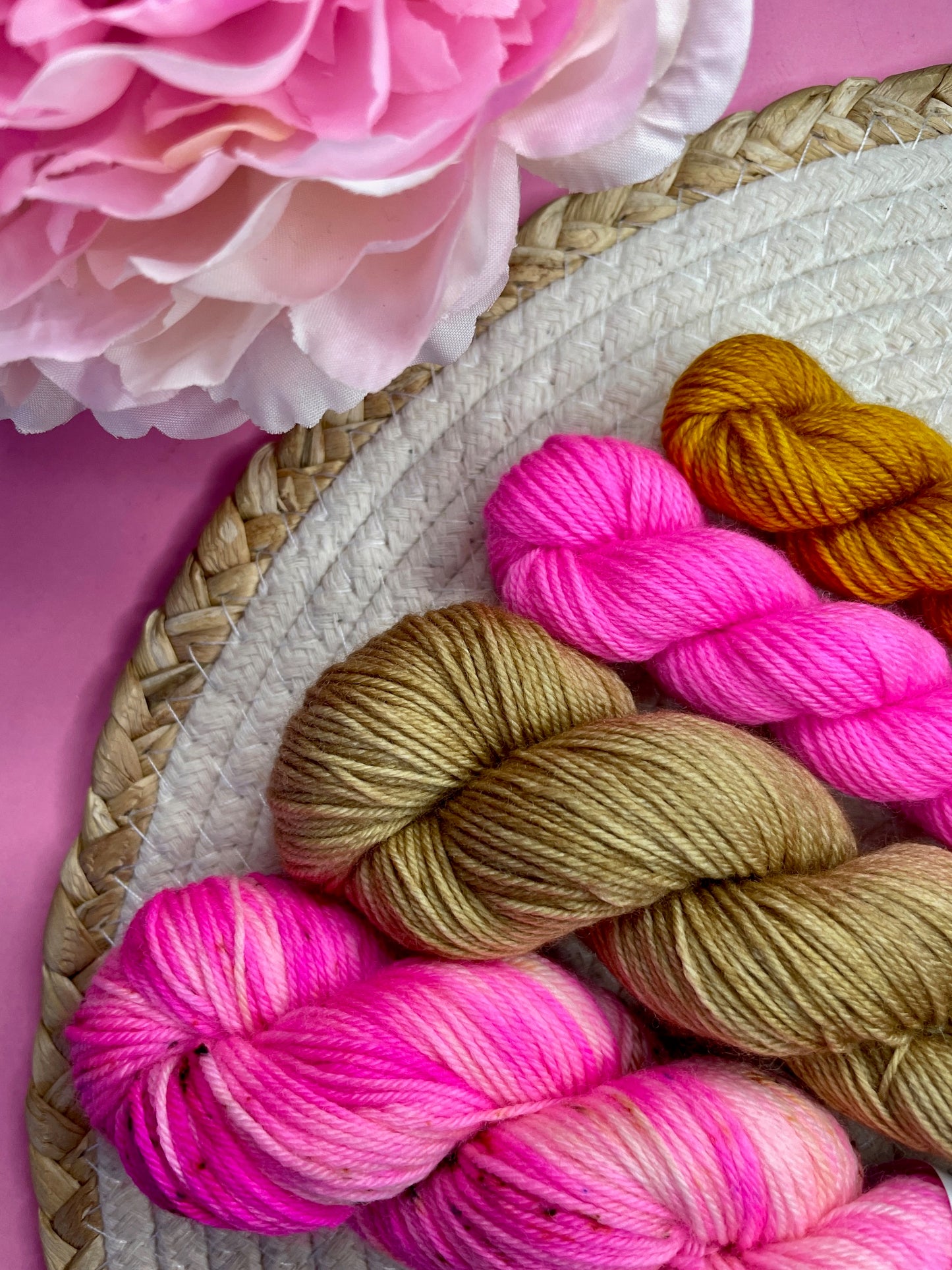 Pack multi Salvia & friends