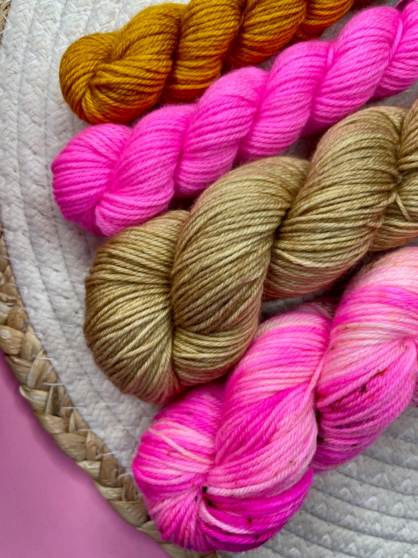 Pack multi Salvia & friends