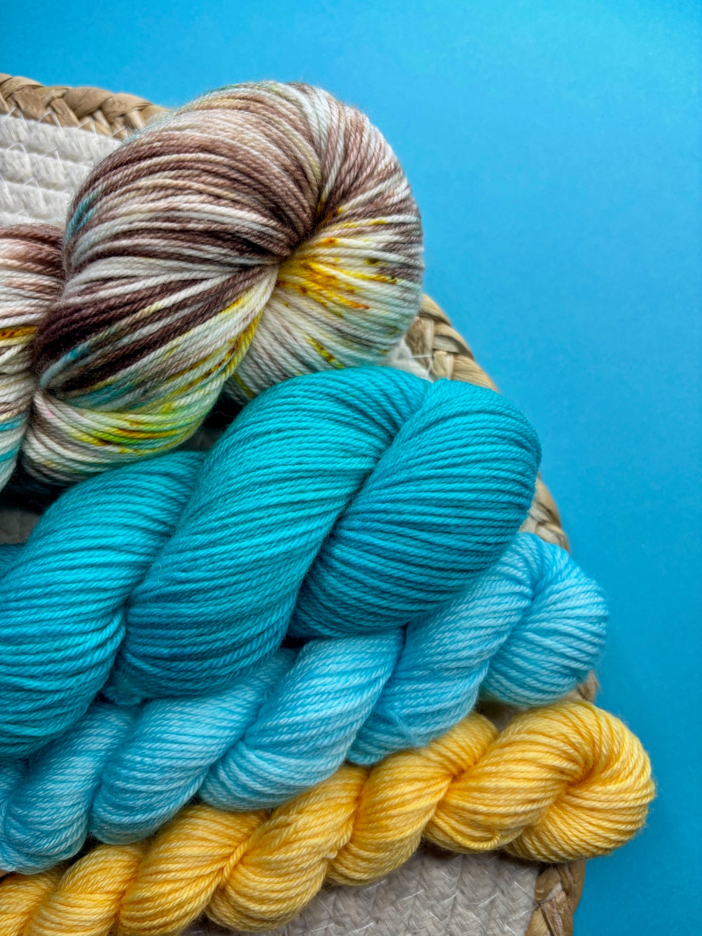 Pack multi Entre terre et mer & friends