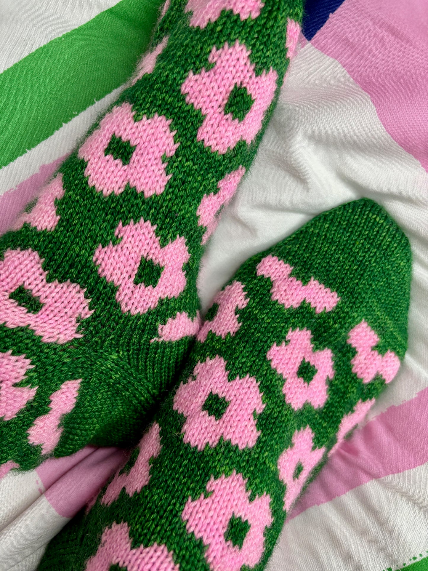 Maia (English version)