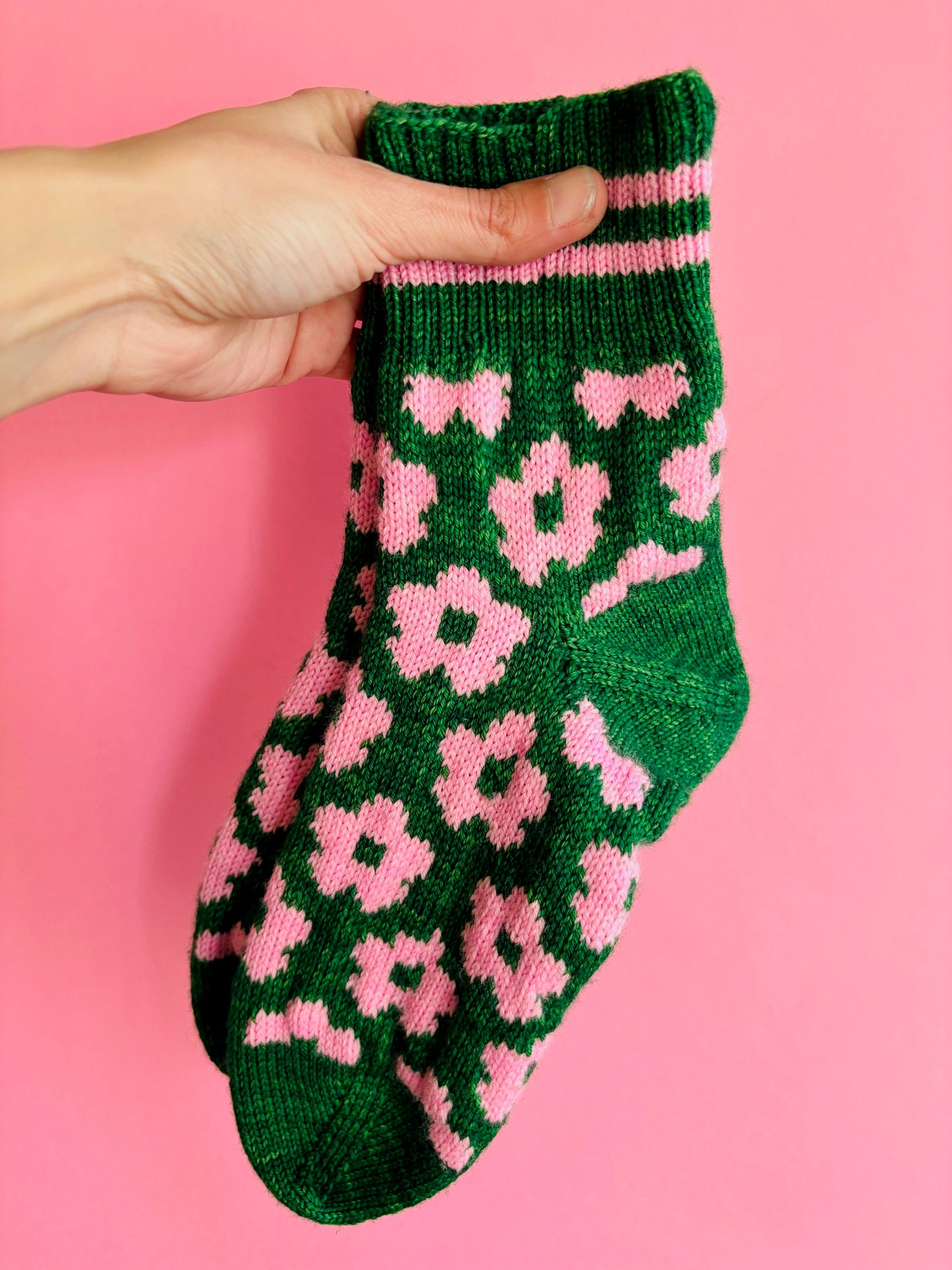 Maia (English version)