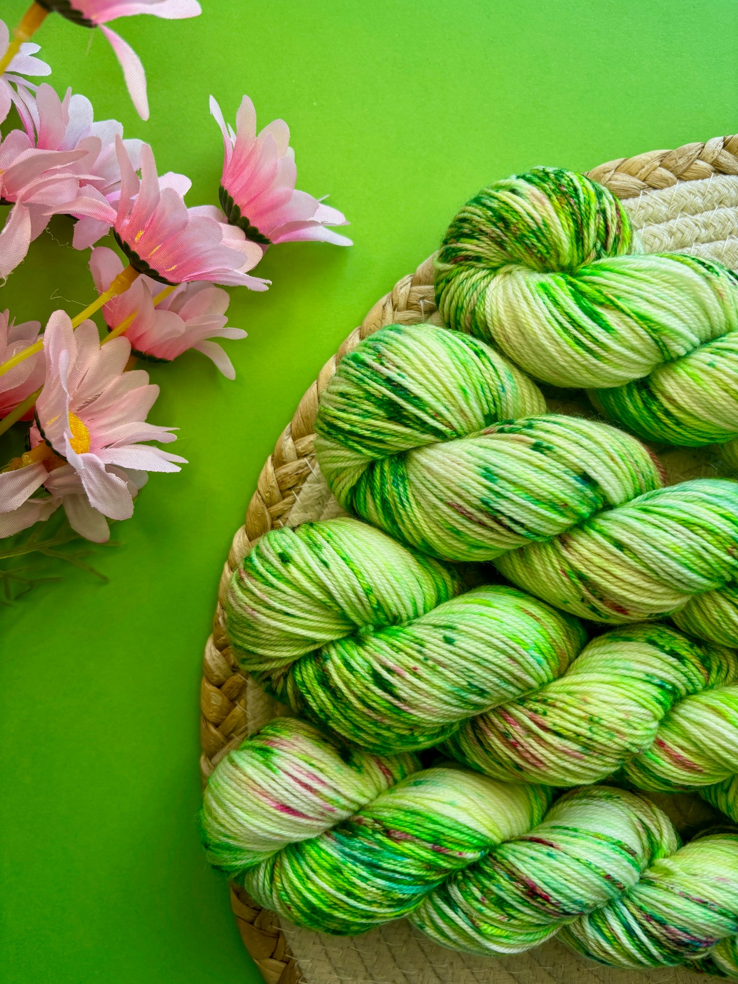 Merino's socks Dans mon jardin