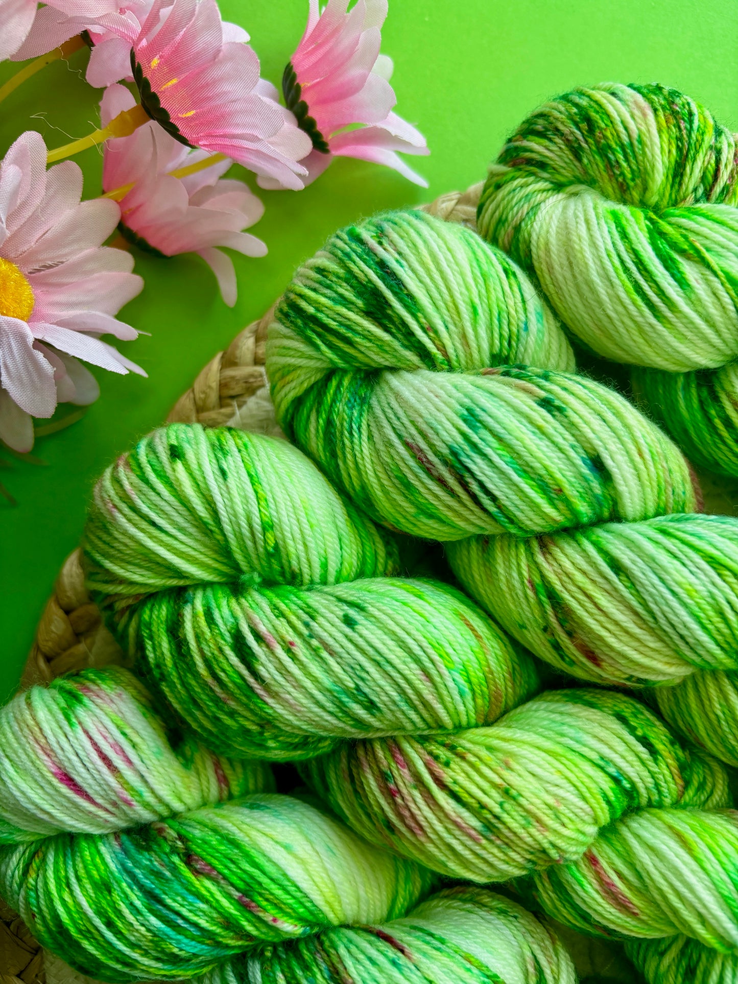 Merino's socks Dans mon jardin