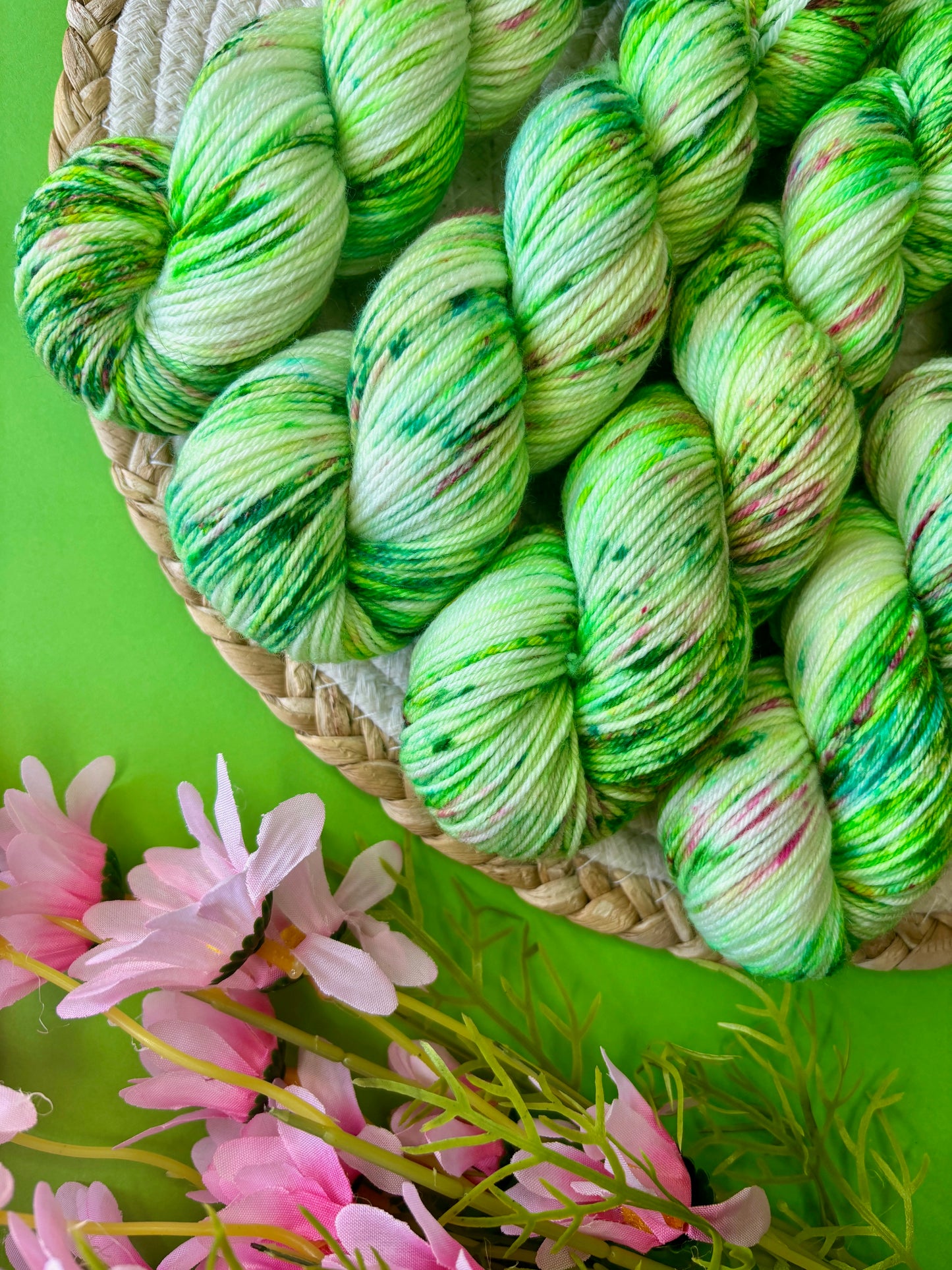 Merino's socks Dans mon jardin