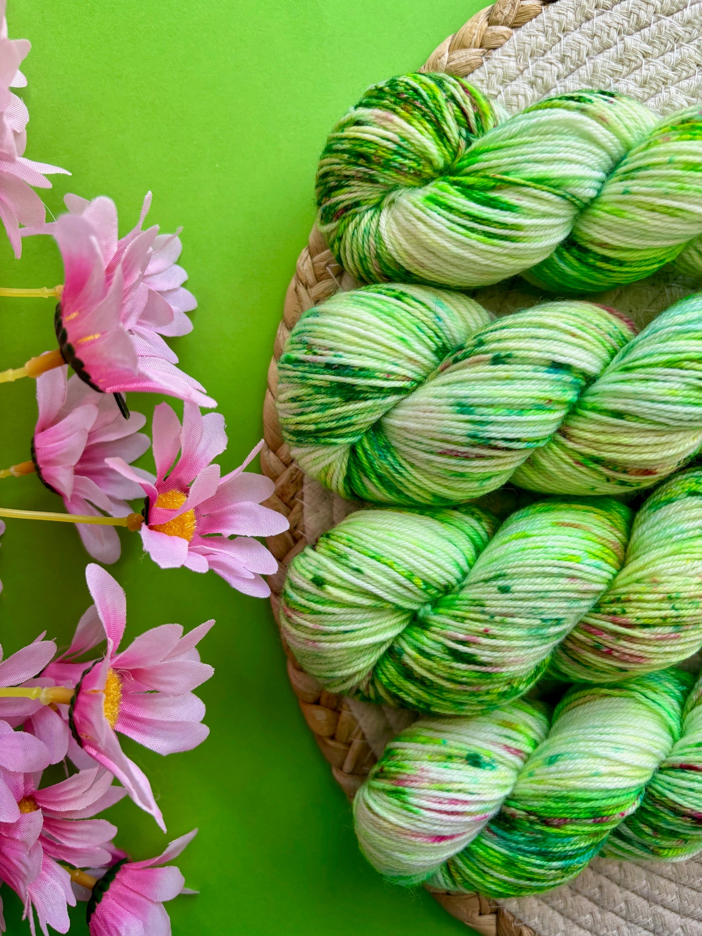 Merino's socks Dans mon jardin