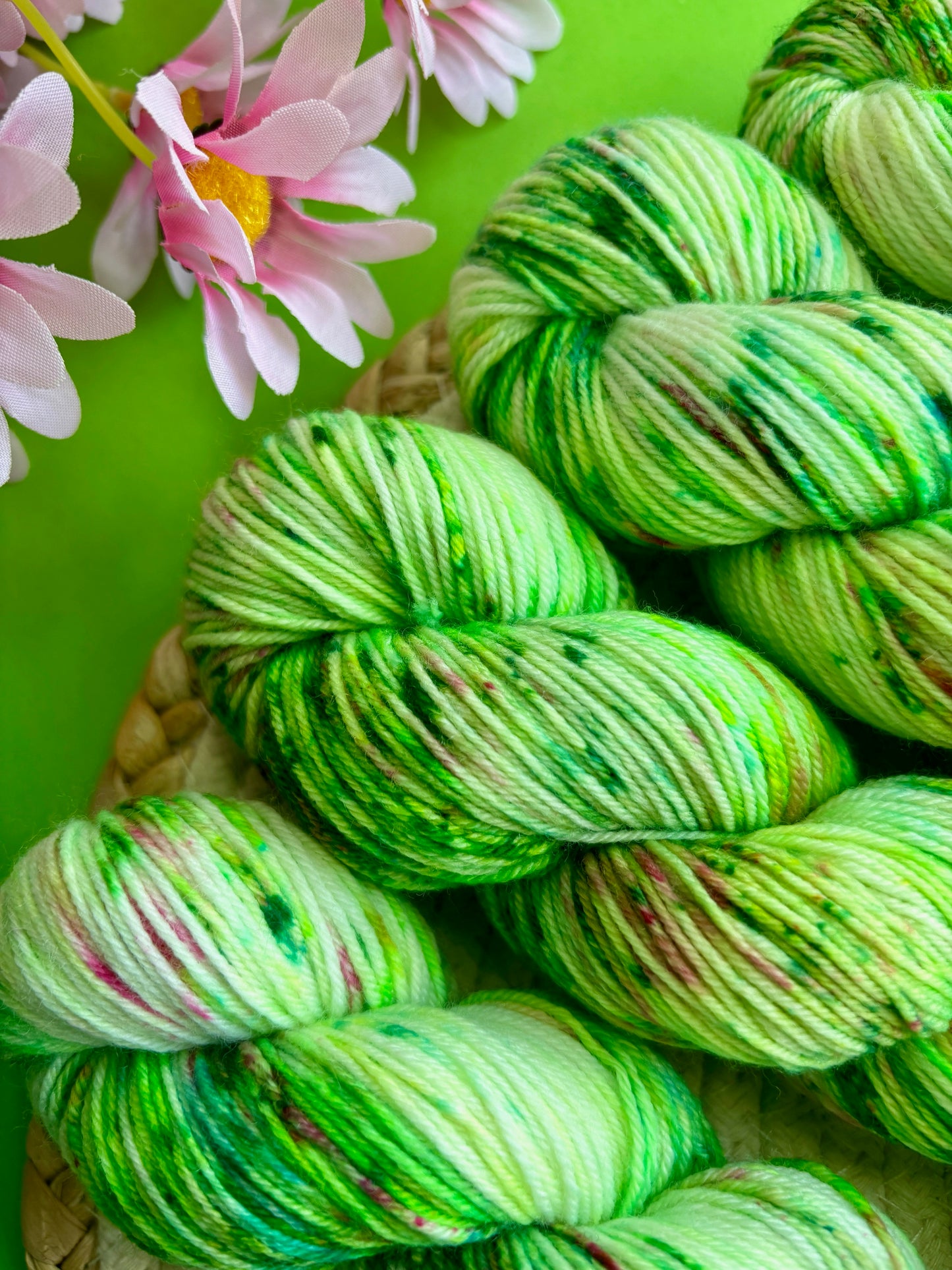 Merino's socks Dans mon jardin