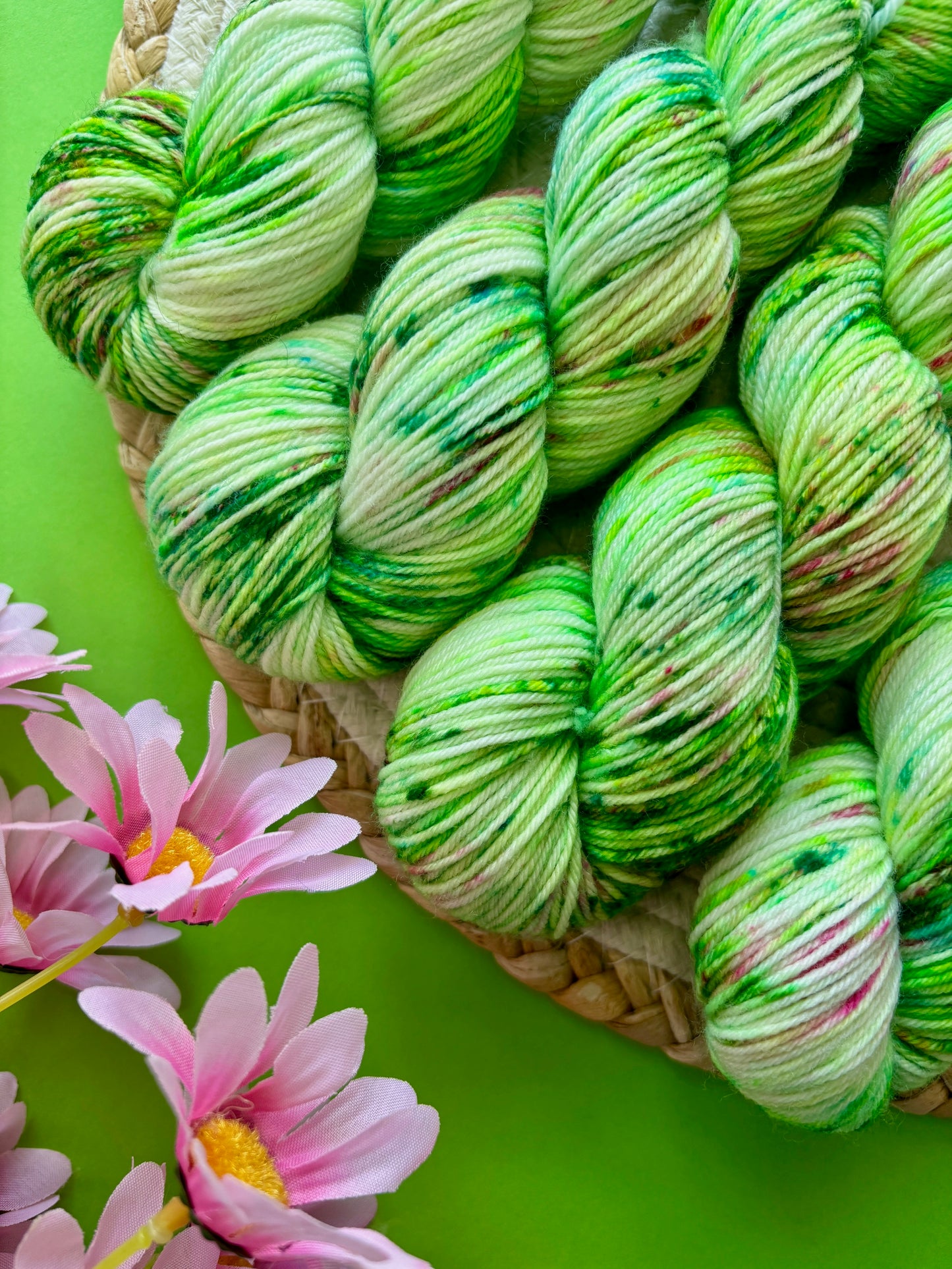 Merino's socks Dans mon jardin