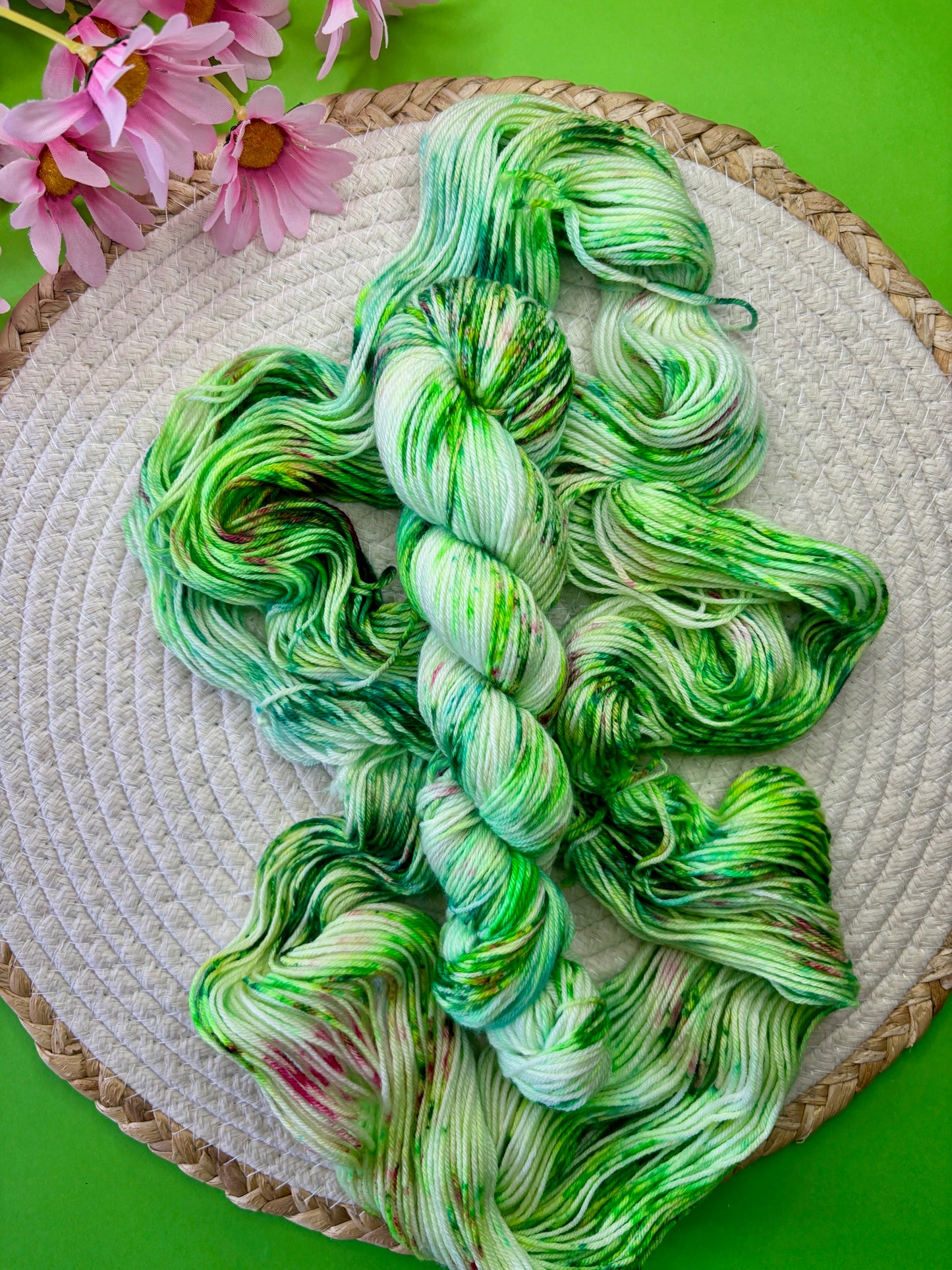 Merino's socks Dans mon jardin