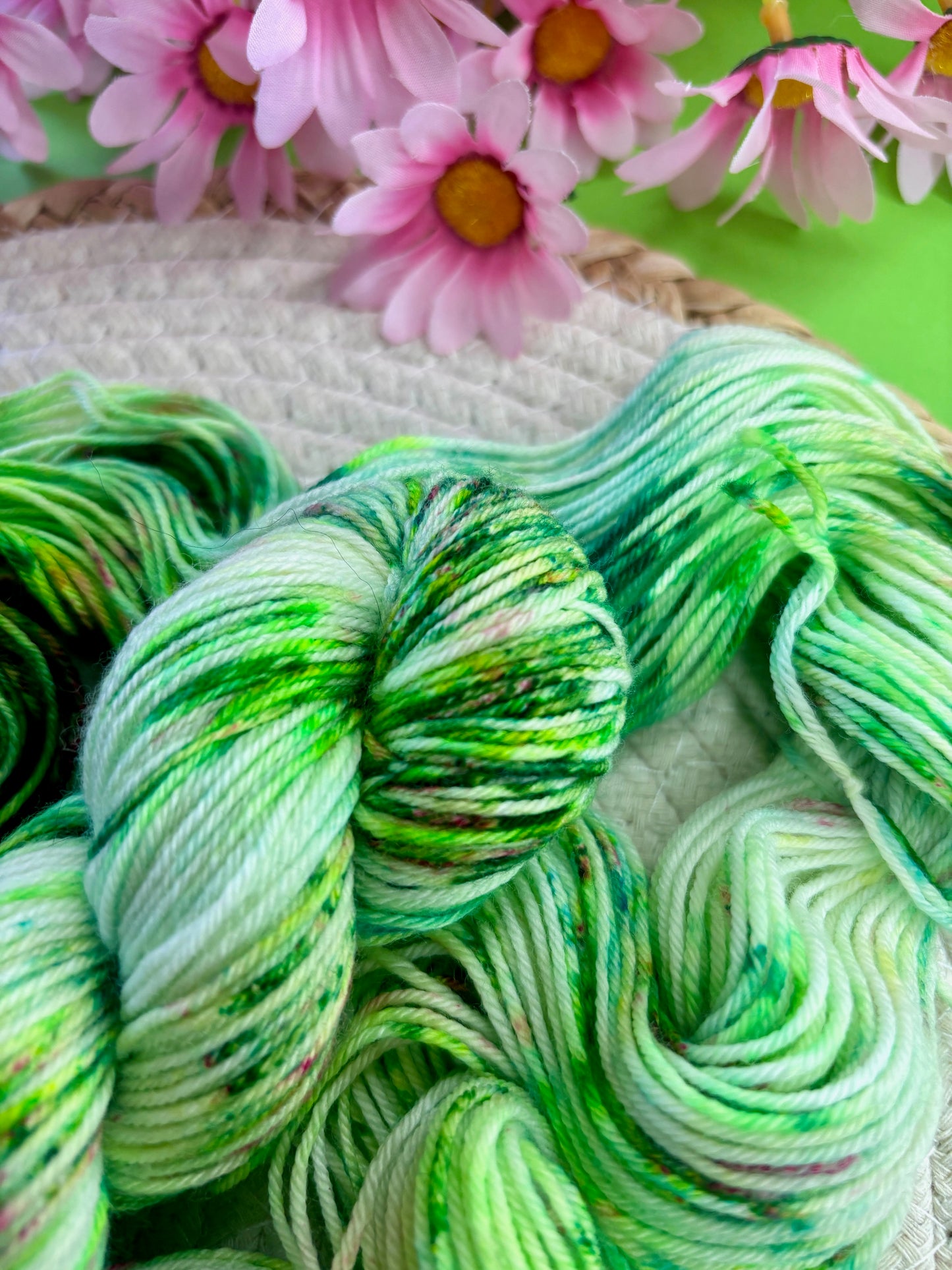 Merino's socks Dans mon jardin