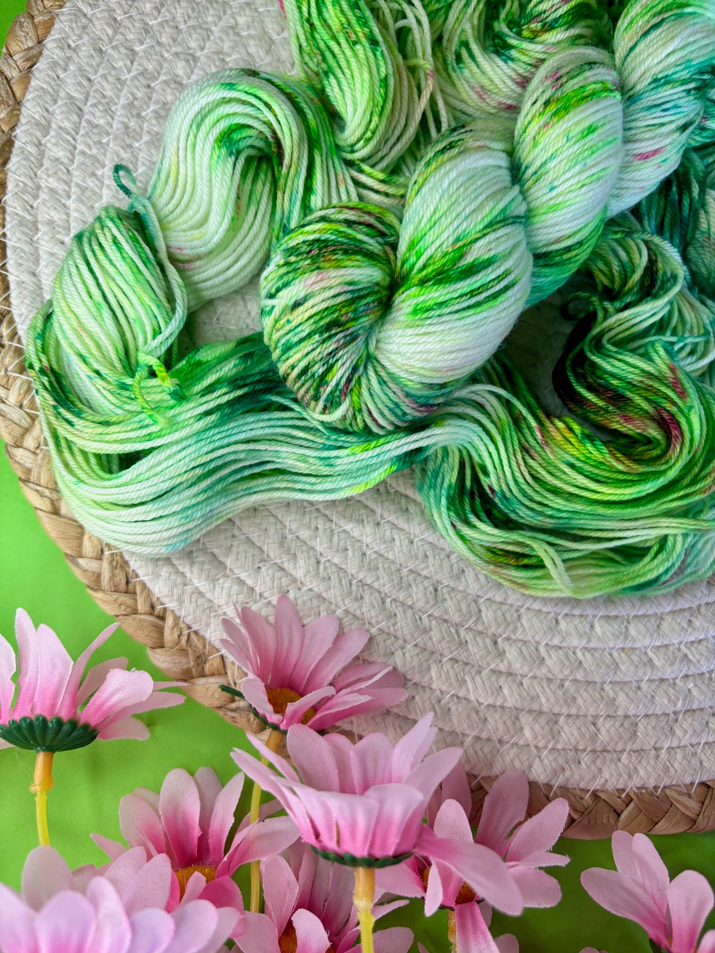 Merino's socks Dans mon jardin