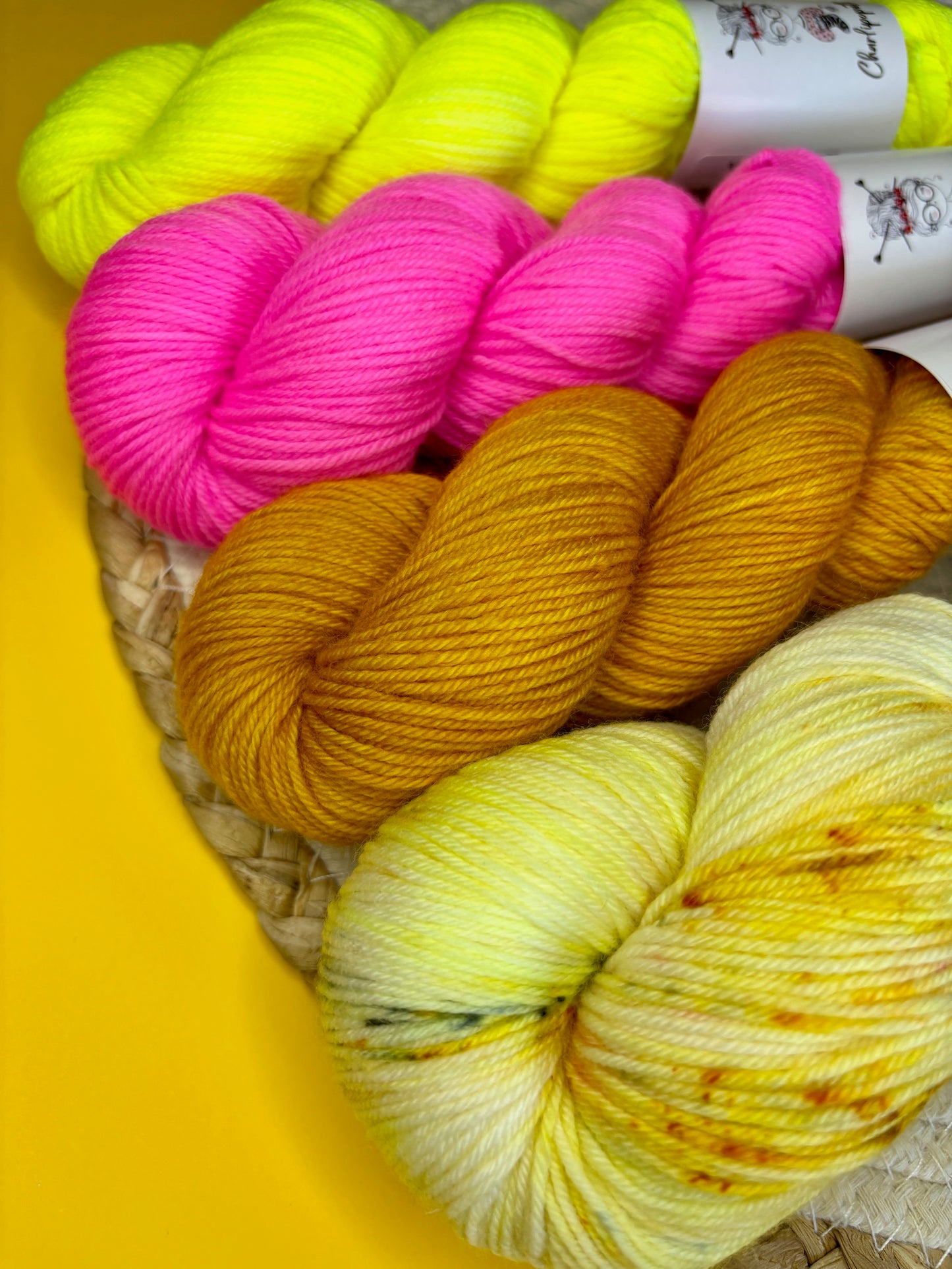 Pack multi Narcisse & friends