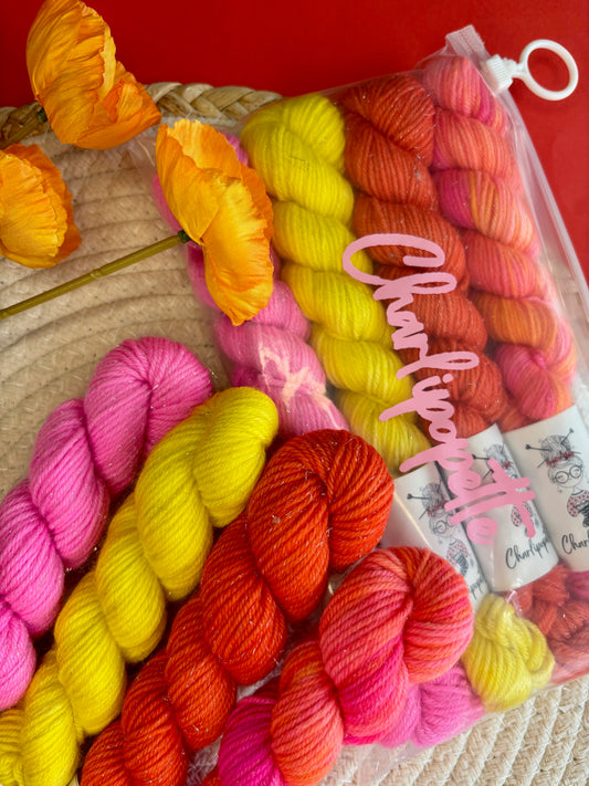 Mini multi pack paillette Phénix