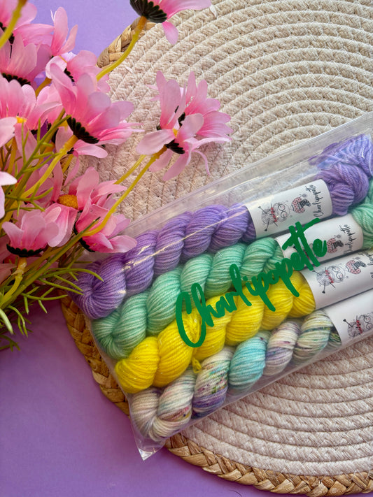 Mini multi pack paillette Yellowstone