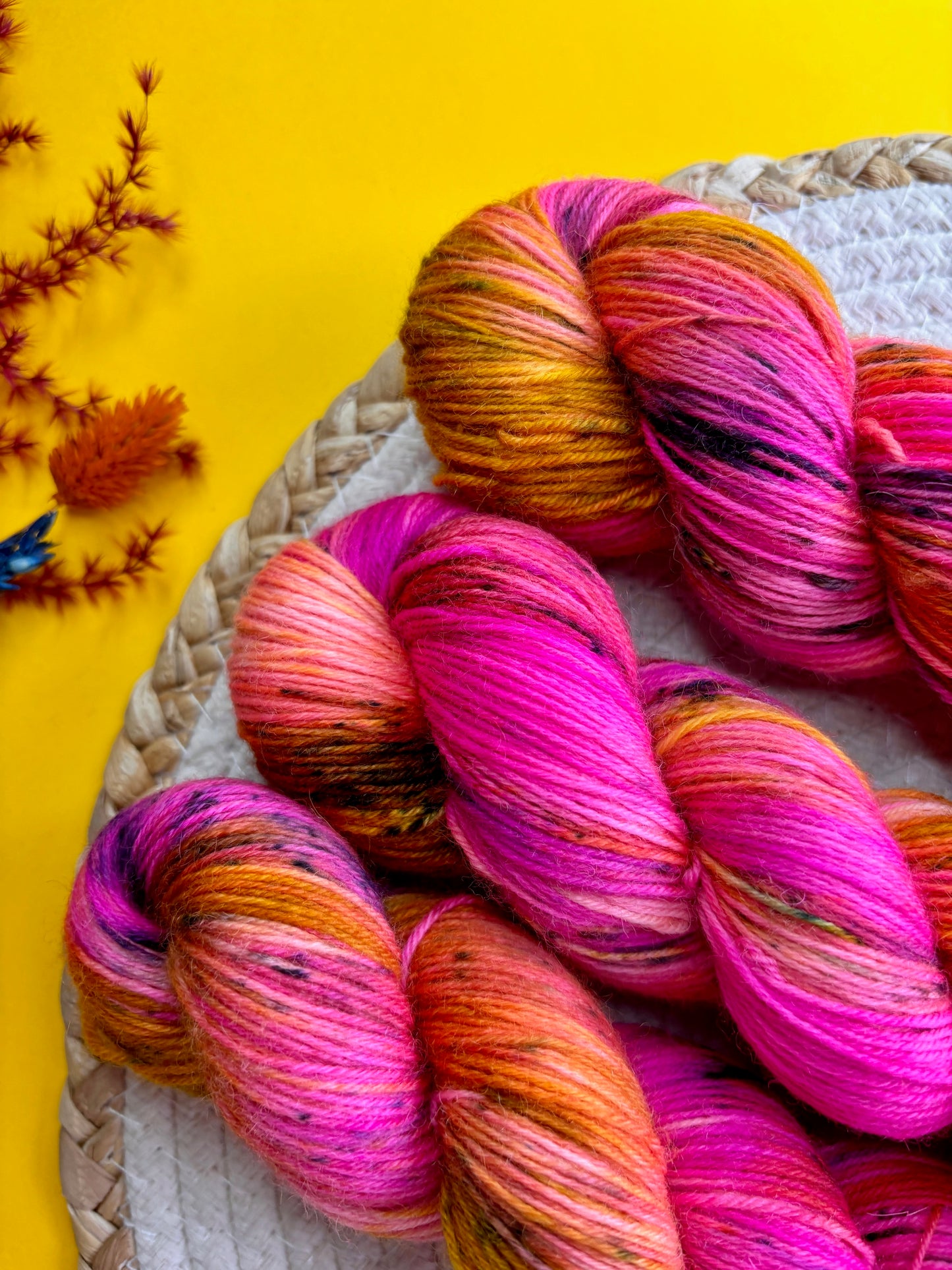 Le Marquis Pashmînâ