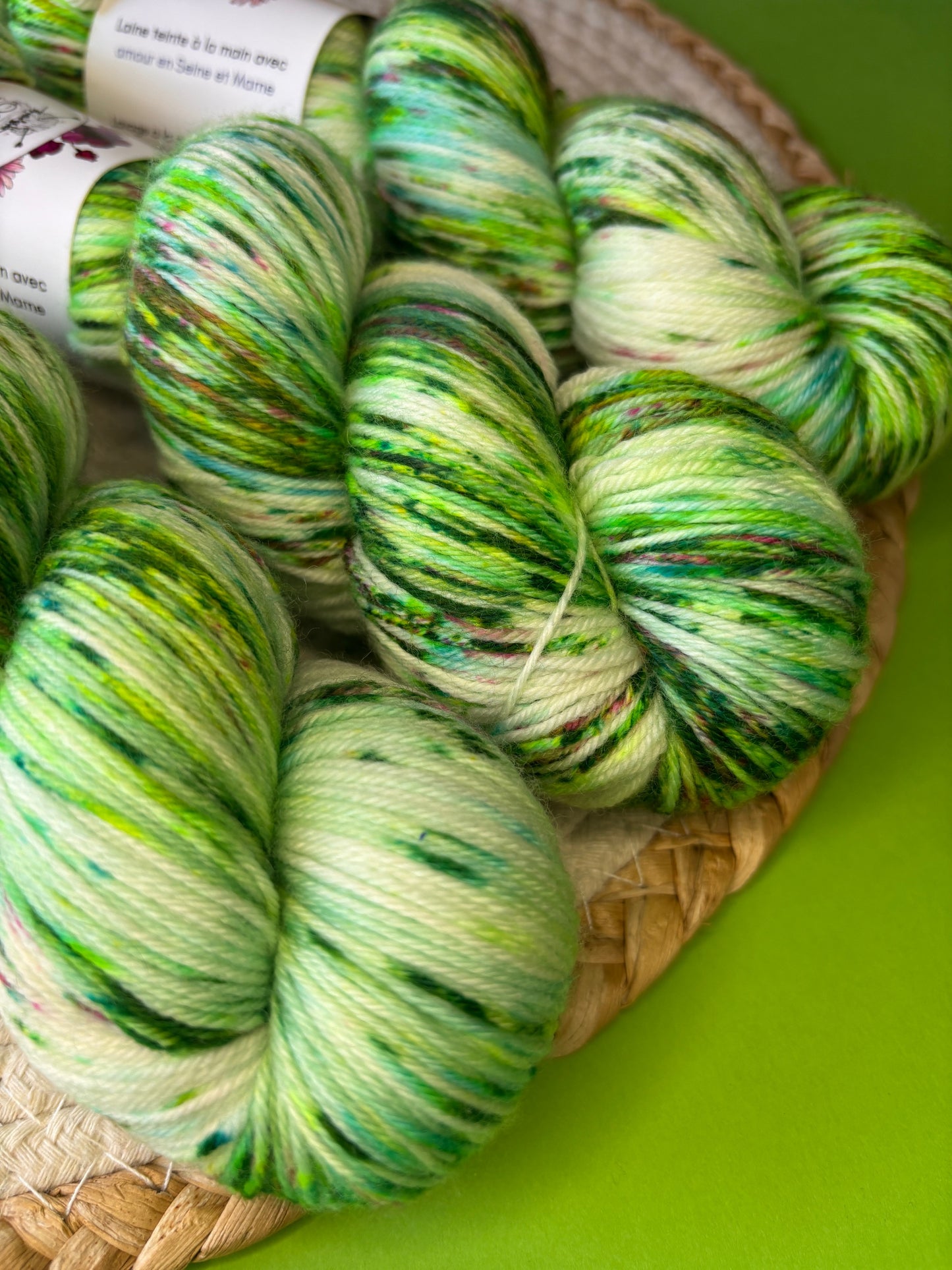 Merino's socks Dans mon jardin