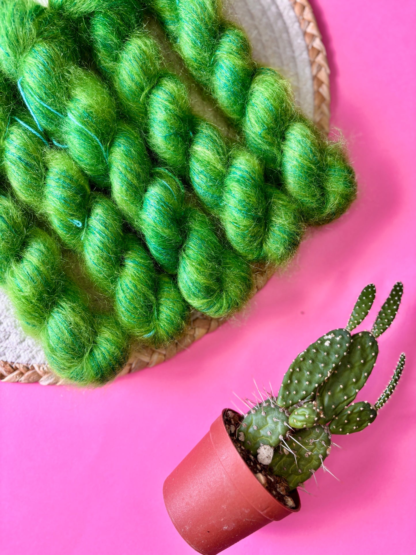 La Duchesse Cactus
