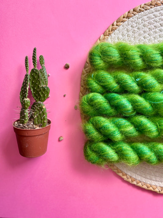 La Duchesse Cactus