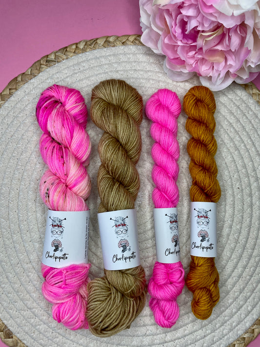 Pack multi Salvia & friends