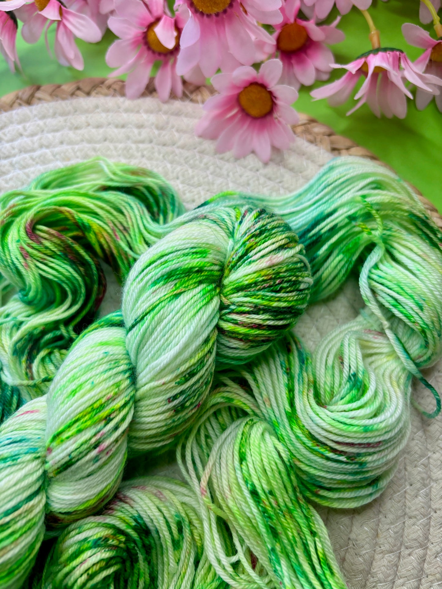 Merino's socks Dans mon jardin