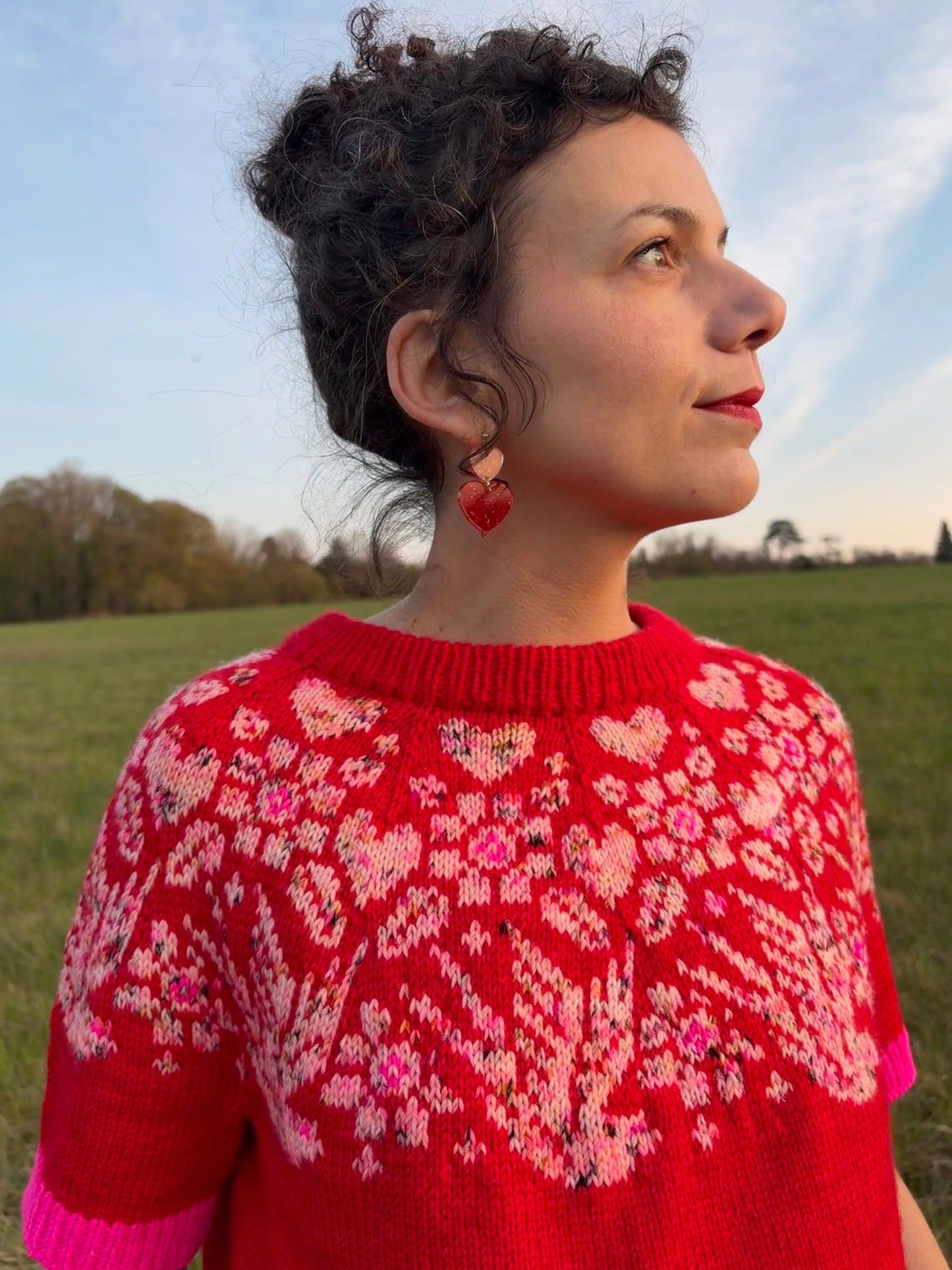 Pack multi Prairie Winds Sweater