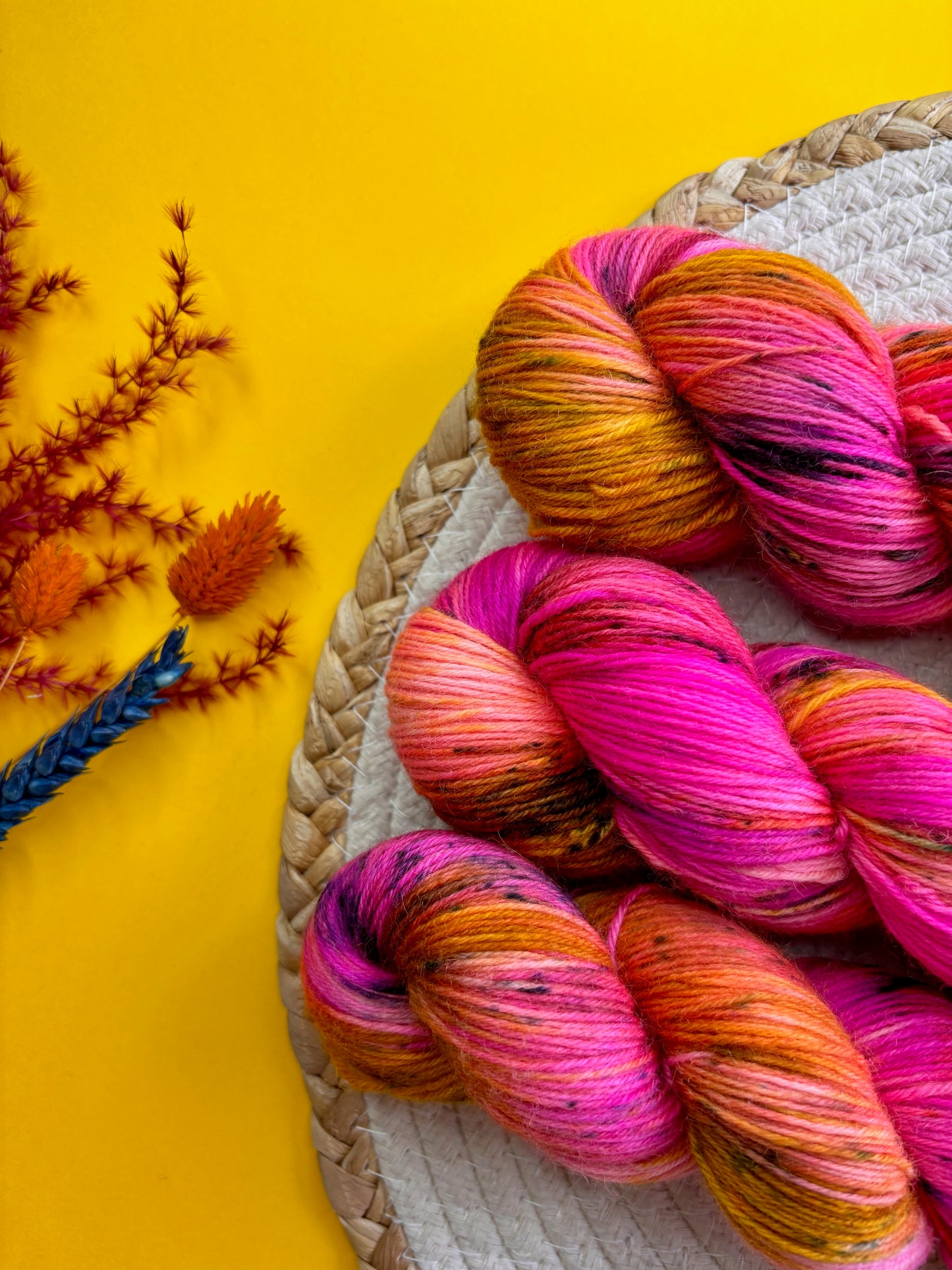 Le Marquis Pashmînâ