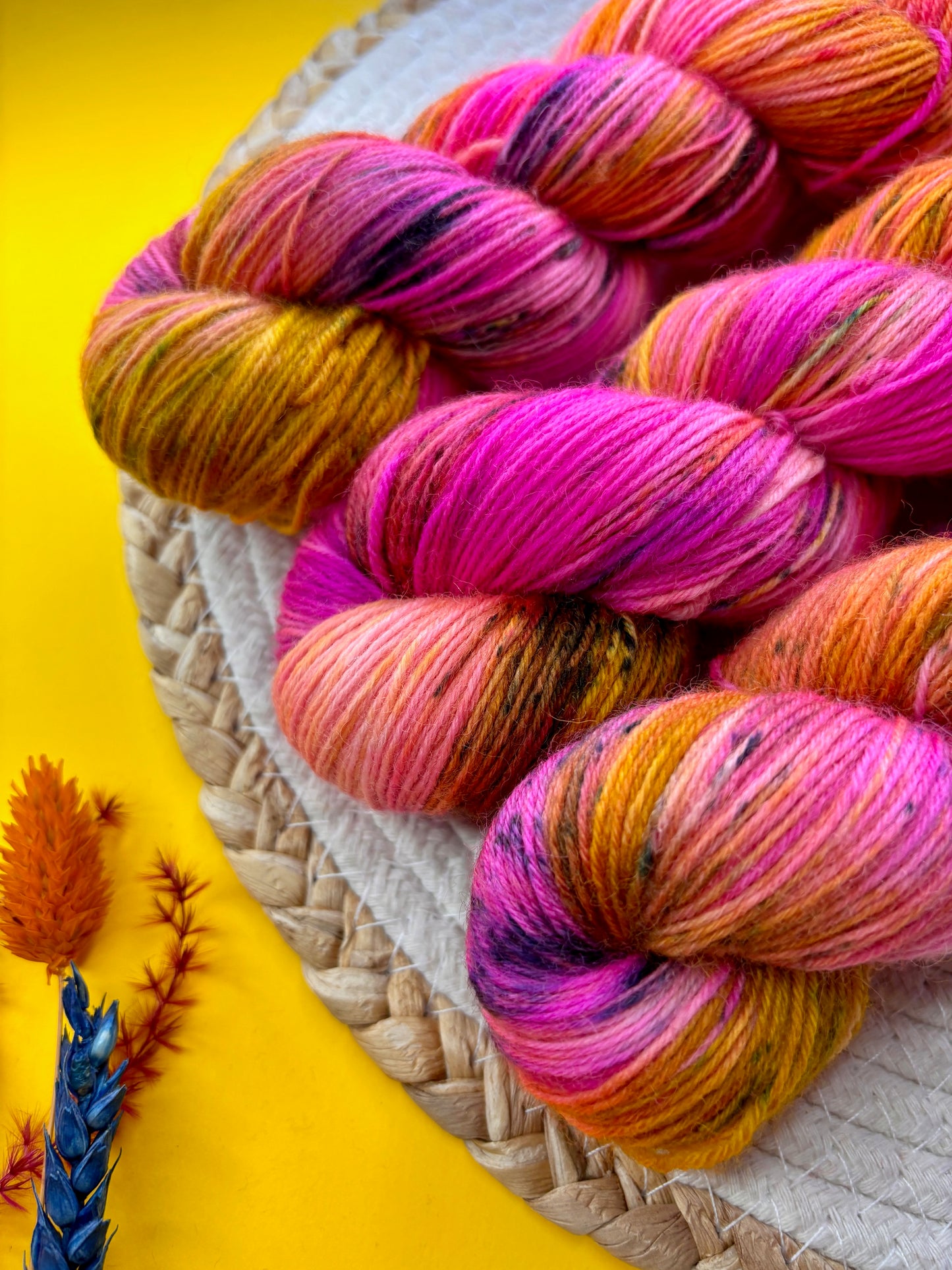 Le Marquis Pashmînâ