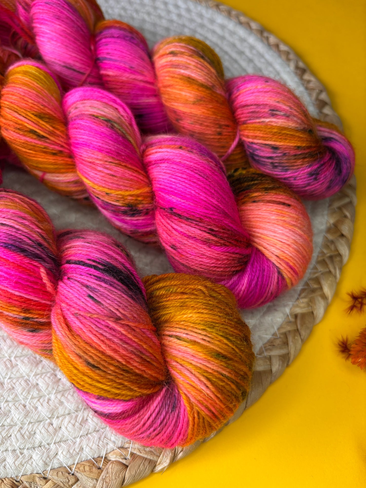 Le Marquis Pashmînâ