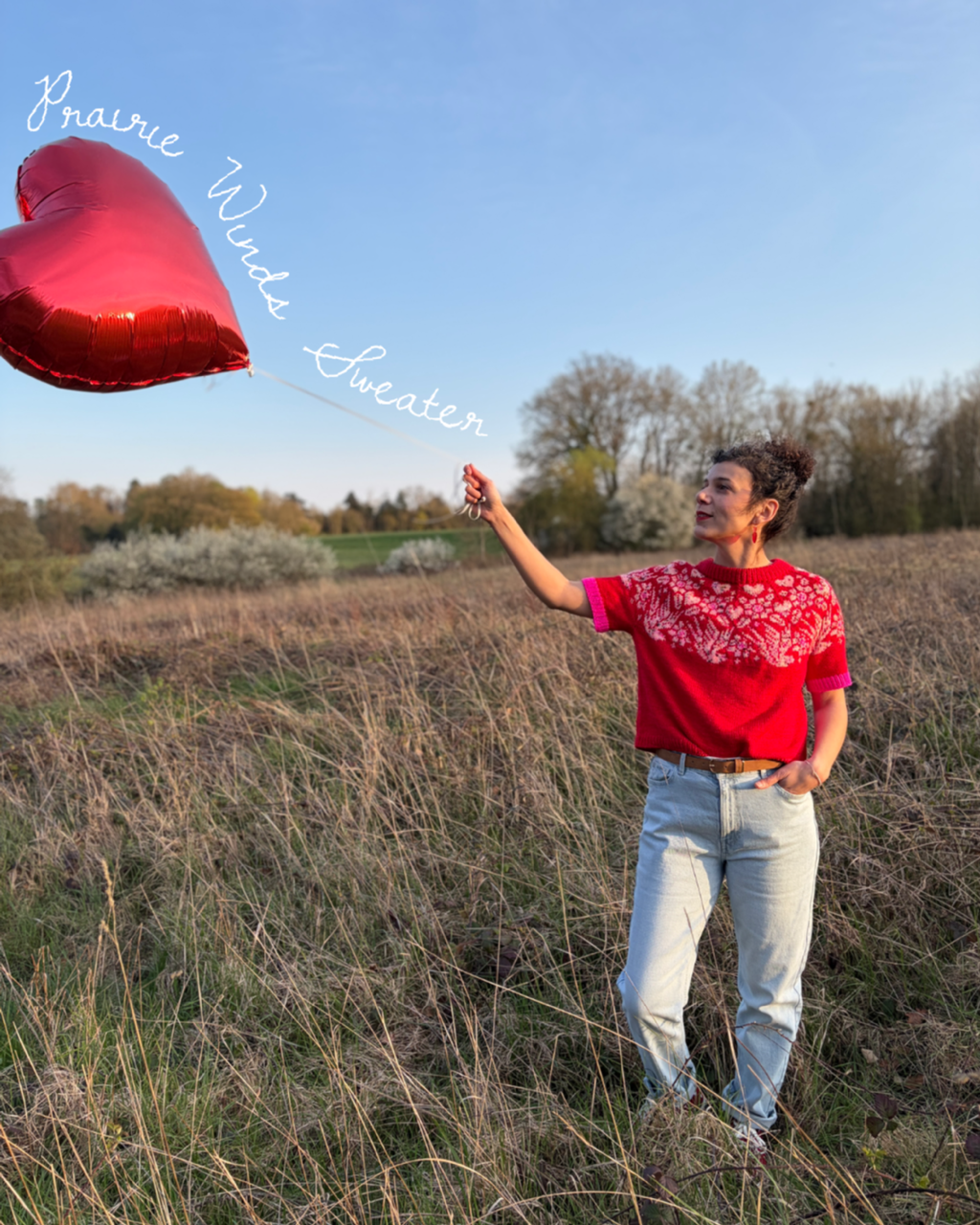 Pack multi Prairie Winds Sweater